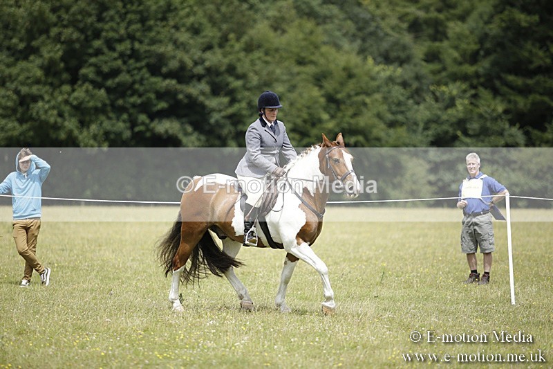 BVR160717-1917 - Ring 1 BVRC Show 16/07/17