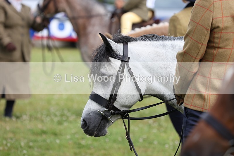 JPP_0336 - Class 14: Cornish Combination Leading Rein