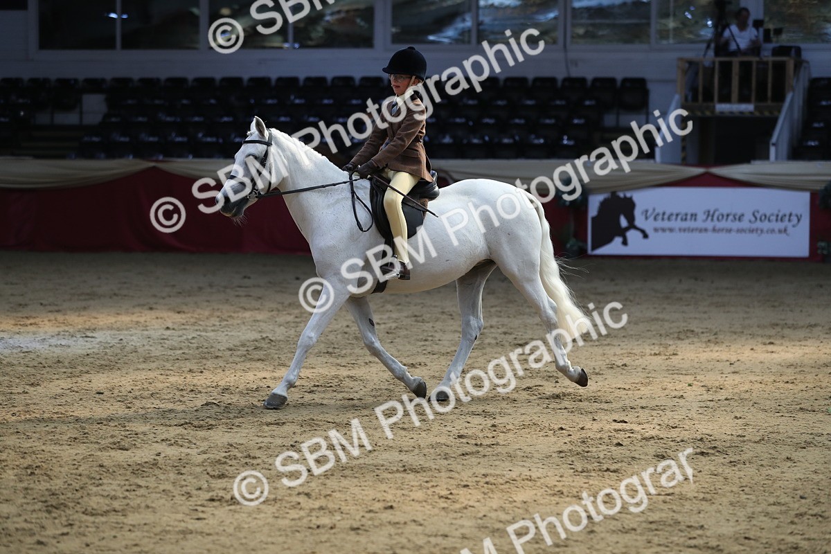 SBM_08346 - Class 11R Regional Ridden Veteran