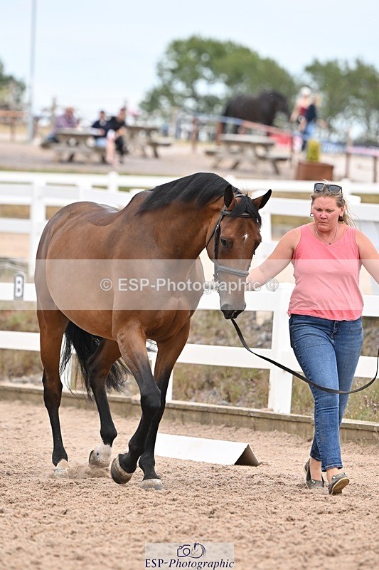 250716-160952-02471 - Trot Up 3.30 to 4.30