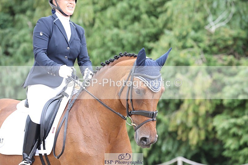 230812-150332-05041 - Cls 5 Novice Bronze 15.00 to End