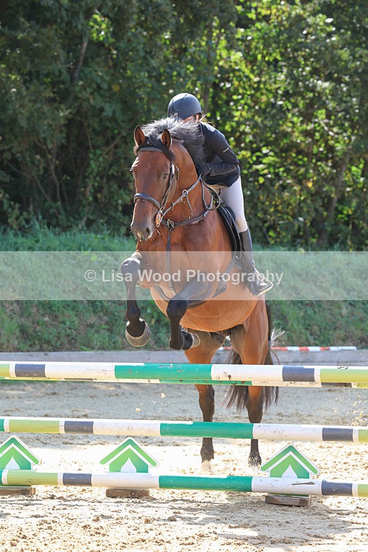3E7A0838 - Class 4: Senior British Novice/90cm open