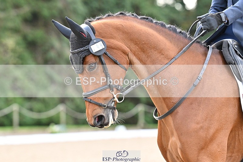 251023A-112636-01242 - C-229-Vittoria.Panizzon