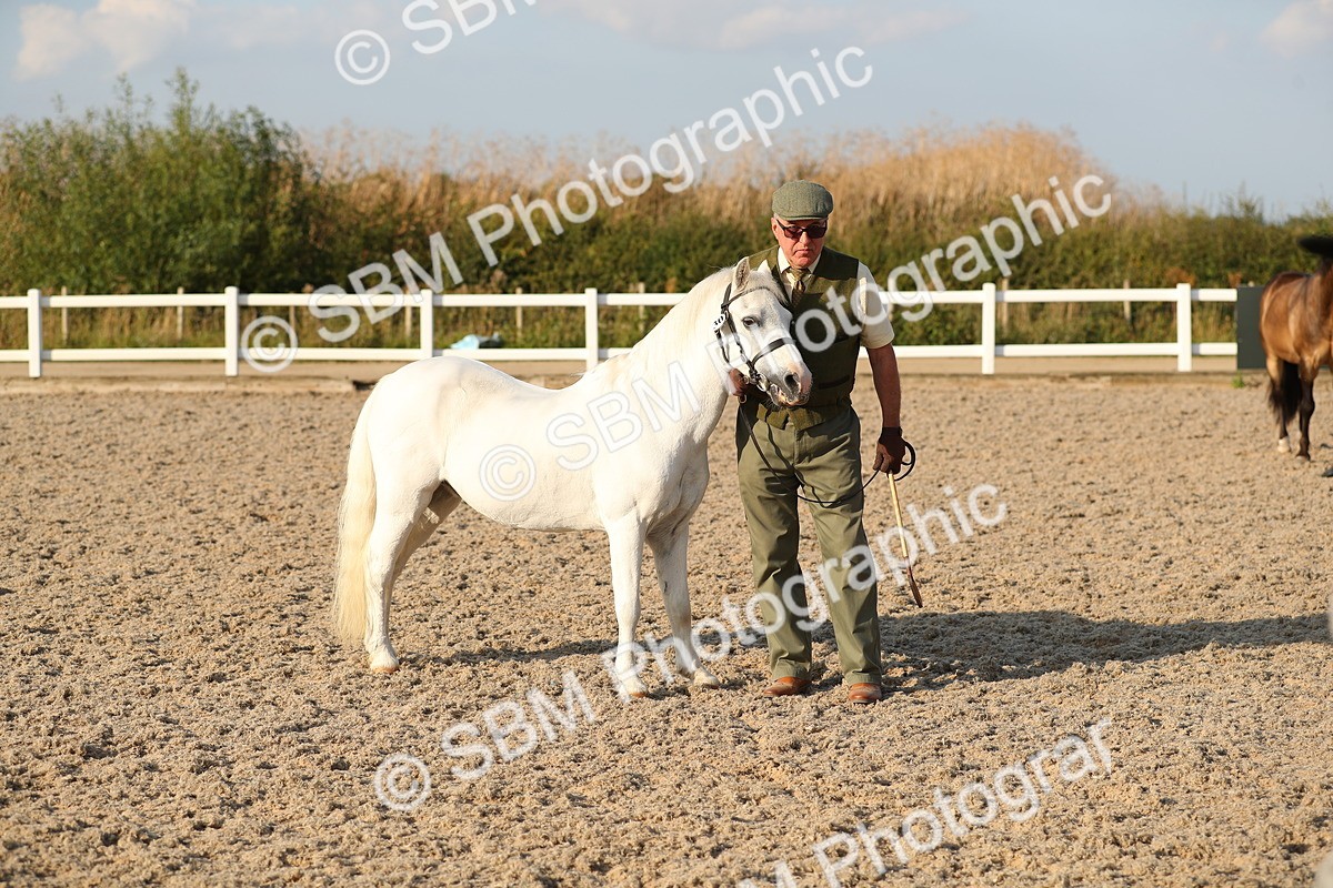 SBM_09017 - Class 29 IH Veteran Pony