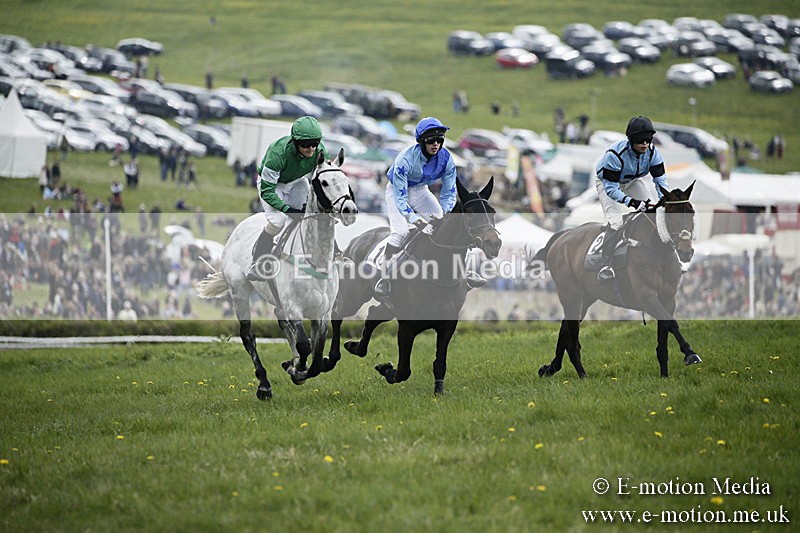 PtP 170417 89 - Old Berks Point-to-Point Lockinge 17/04/17
