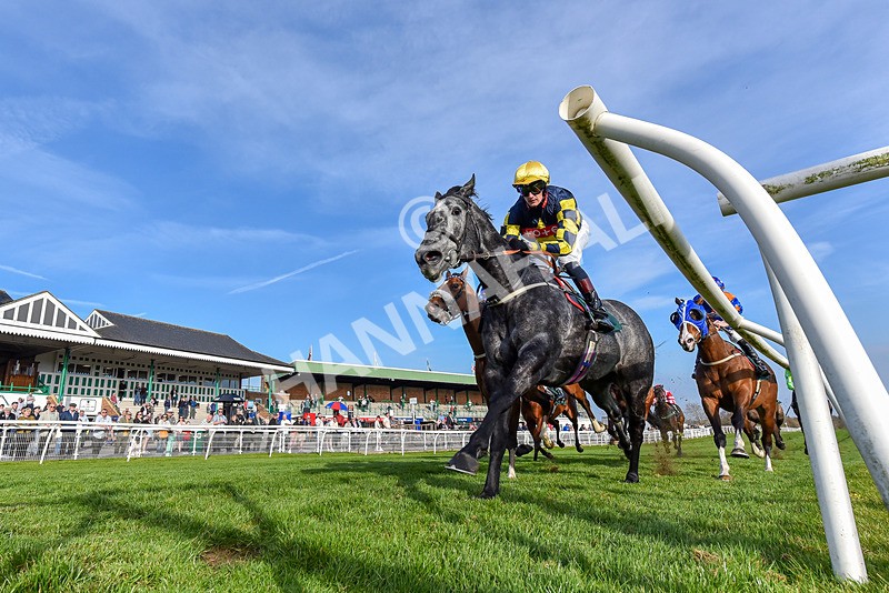 080426-Race 8-Keldeo-5759 - Race 8