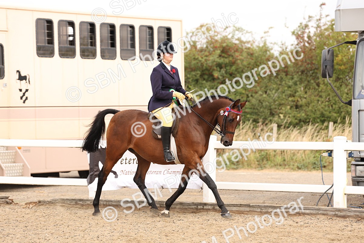 SBM_01655 - Class 52 - Ridden Veteran