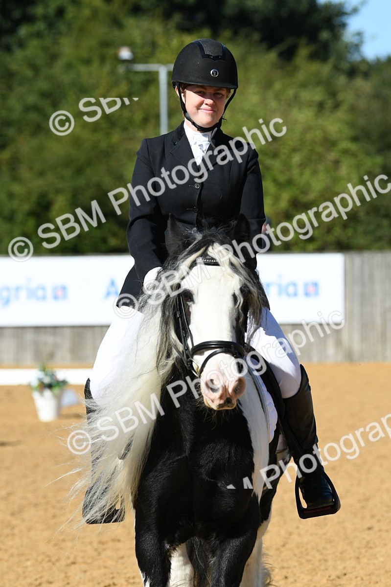 SBM_18052 - D4 - Small Tour Championship - Intro B