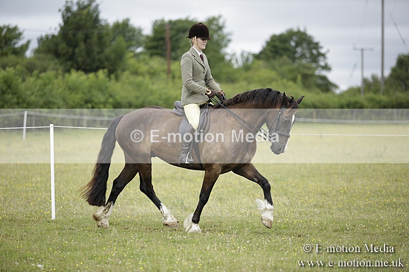 BVR160717-1287 - Ring 1 BVRC Show 16/07/17