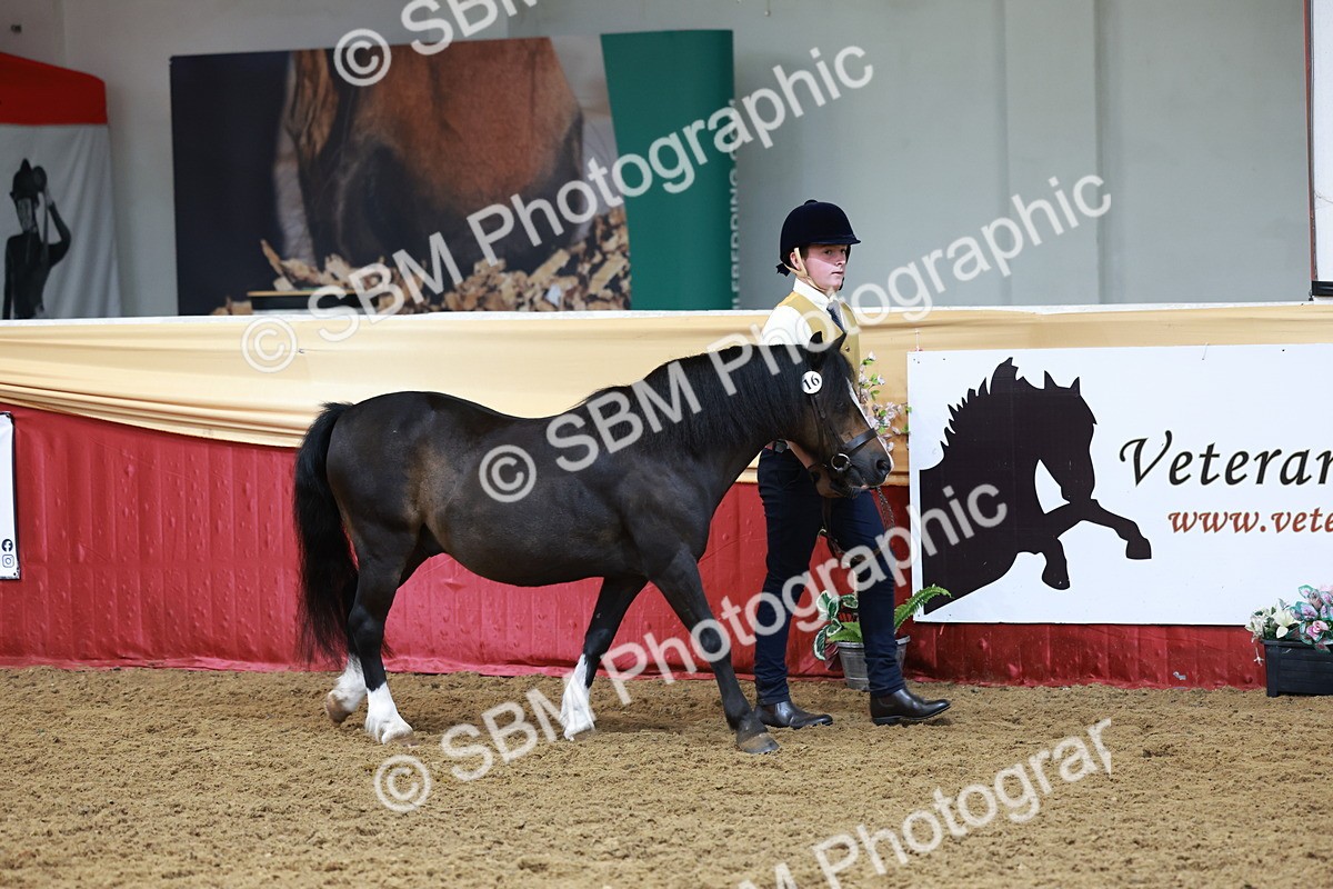 SBM_17307 - Class 951 - M&M IH Supreme Final