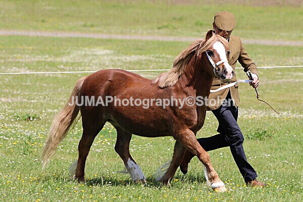 SIAL7734 - Ring 1