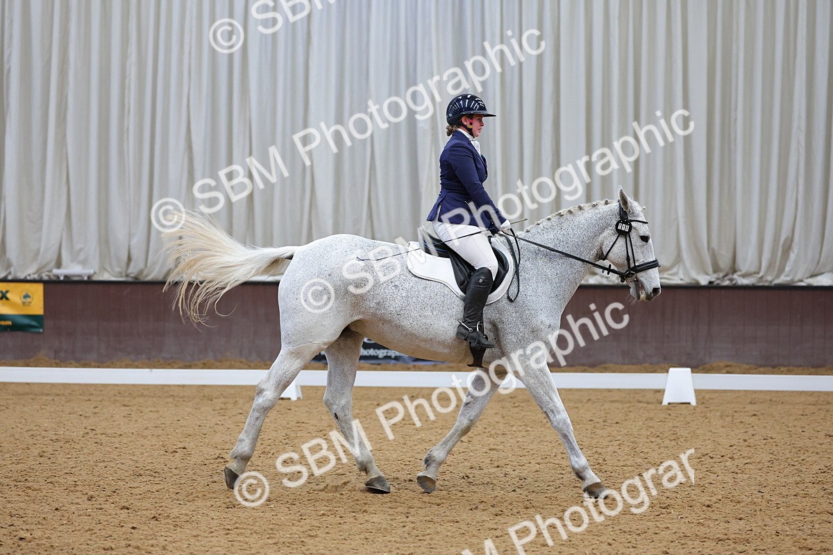 SBM_003710 - Novice