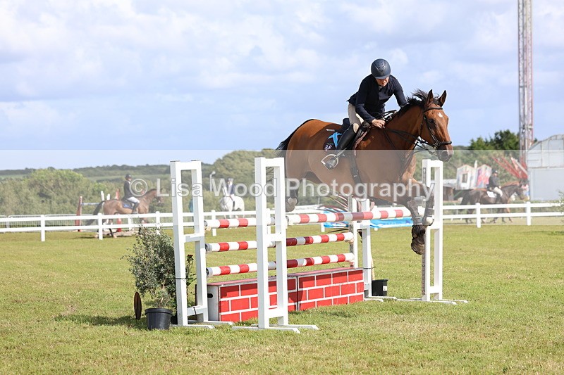 3E7A3521 - Class B: Showjumping Accumulator