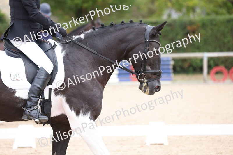 20250820-0512 - Class 14 - Prelim 5