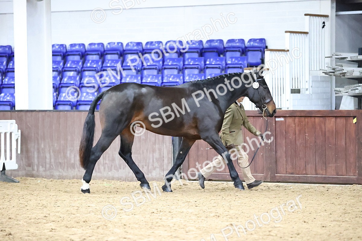 SBM_5640 - Class 40 - RESS In Hand Qualifier