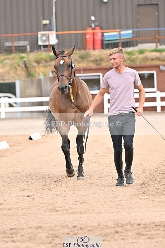 250716-150355-01604 - Trot Up 2.30 to 3.30
