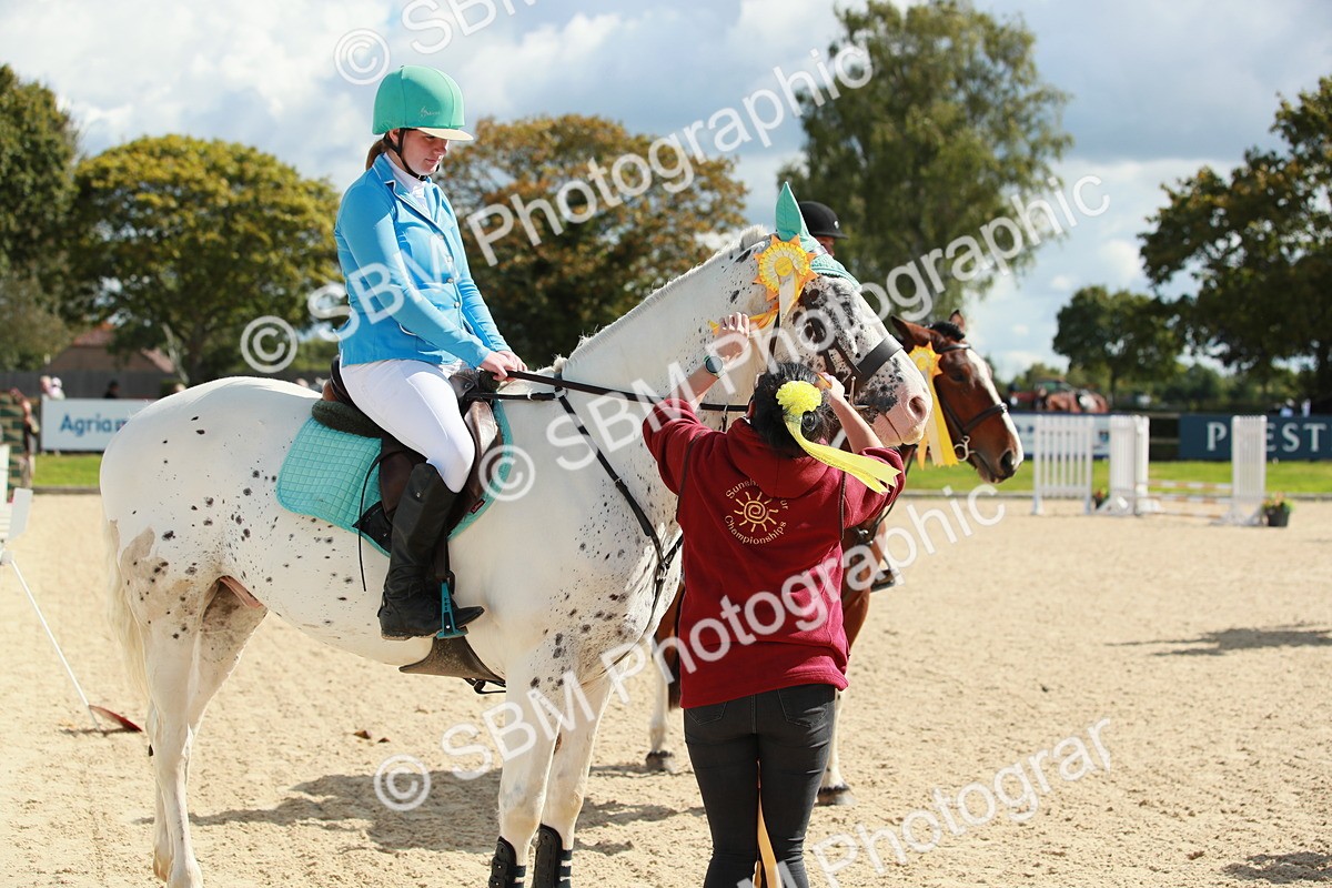 SBM_25450 - J28 Senior 60cm Championship
