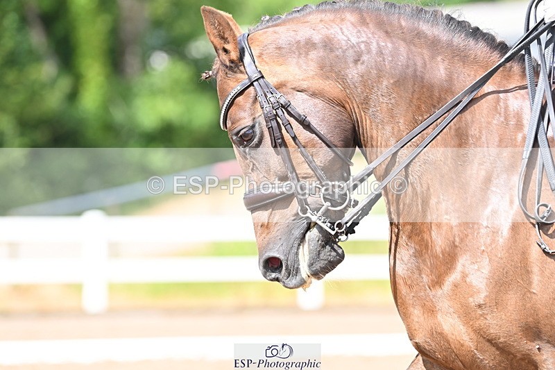 240622A-155536-12592 - Cls 35 BD Adv Medium 91