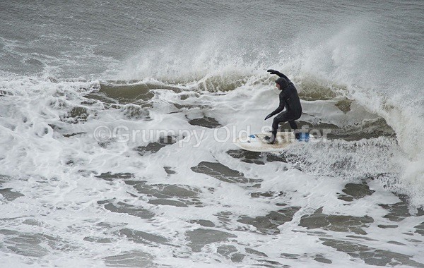 DSC_1823 - Cayton Bay - 11th April 2017