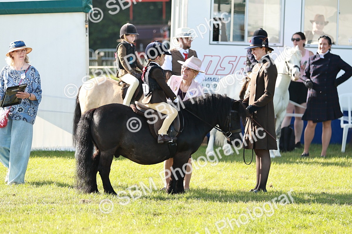 SBM_11067 - Class 106-107 - BSPS LIHS Working Sports Pony