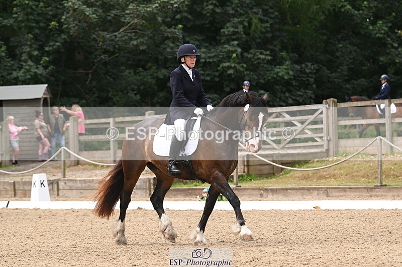 250720A-120153-10133 - 079-Amanda.Williams-Llanarth.Westminster