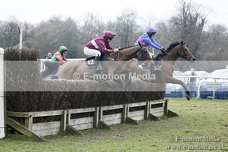 PtP 110318 566 - Hampshire Hunt Point-to-Point Hackwood Park 11/03/18