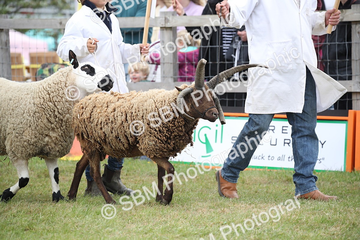 SBM_07780 - Grand Parade