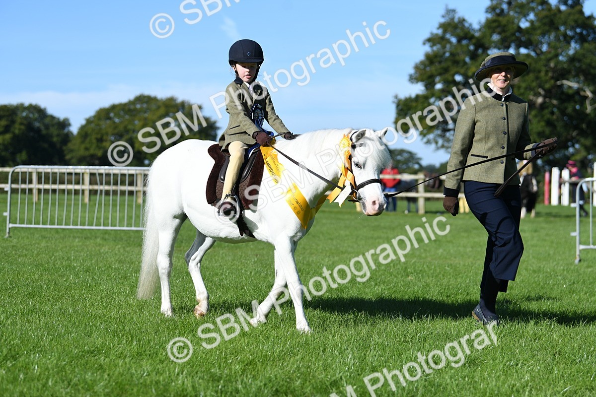 SBM_35637 - Top Turnout Supreme Championship