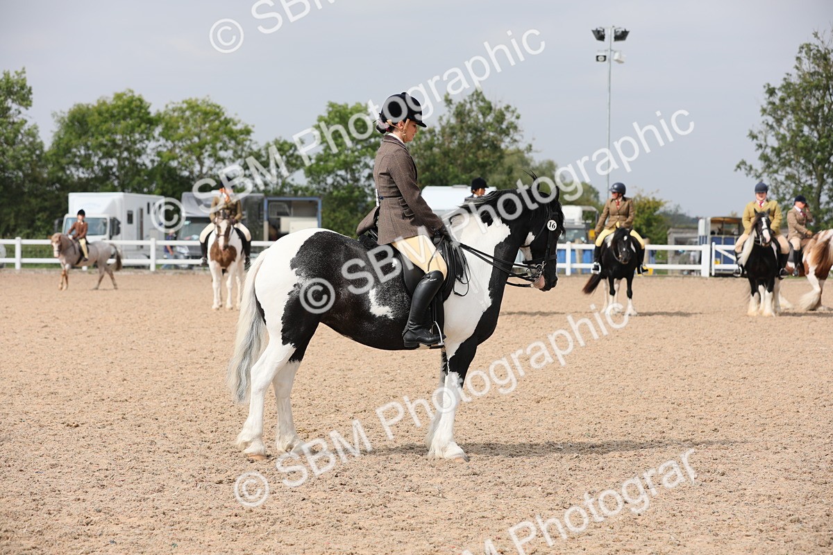 SBM_12779 - Class 307 Ridden Coloured Pony