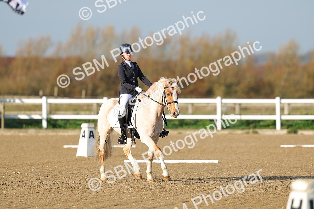 SBM_003008 - Class 2 - Intro 3