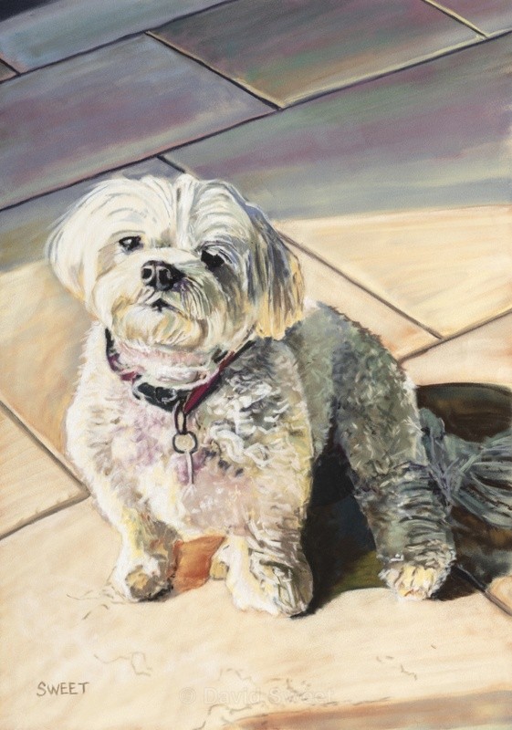 Rocco - Paintings