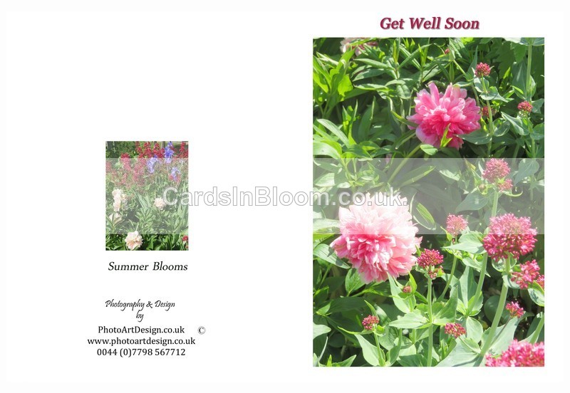 301 Peonies Valerium - Get Well Soon - Get Well