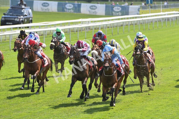 yr13052021r1-30 - Race 1 1.40pm The Matchbook Betting Exchange Stakes