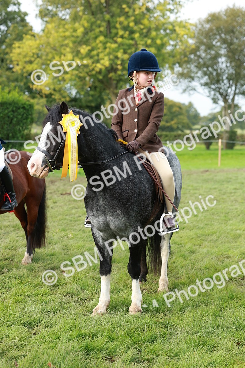 SBM_56469 - S39 - Starters In Hand Showing