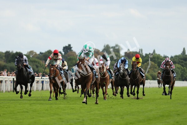 yr04092022r6-26 - Race 6 4.40pm Hanson Springs Stakes