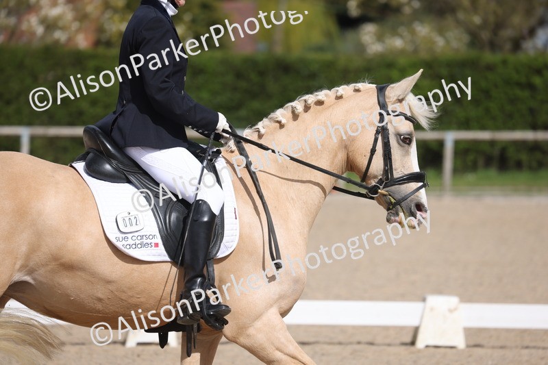 20260405-0306 - Class 4 - Novice 6