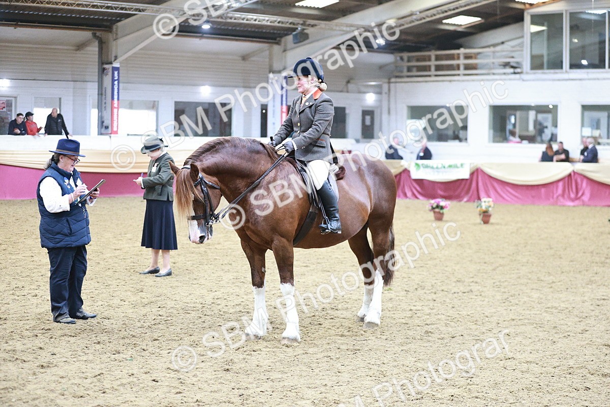 SBM_08916 - Class 12R - Regional Ridden Pre-Vet