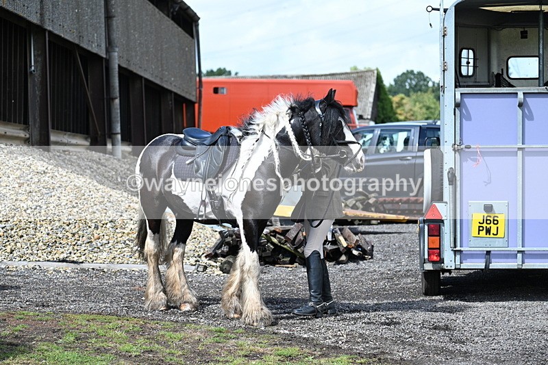 WJ7_7438 - Berks & Bucks at Blandy’s Farm 31-08-25