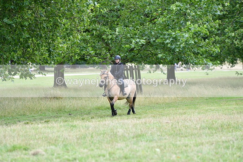 WJ5_1611 - Time at Jump 13:04 to 14:02