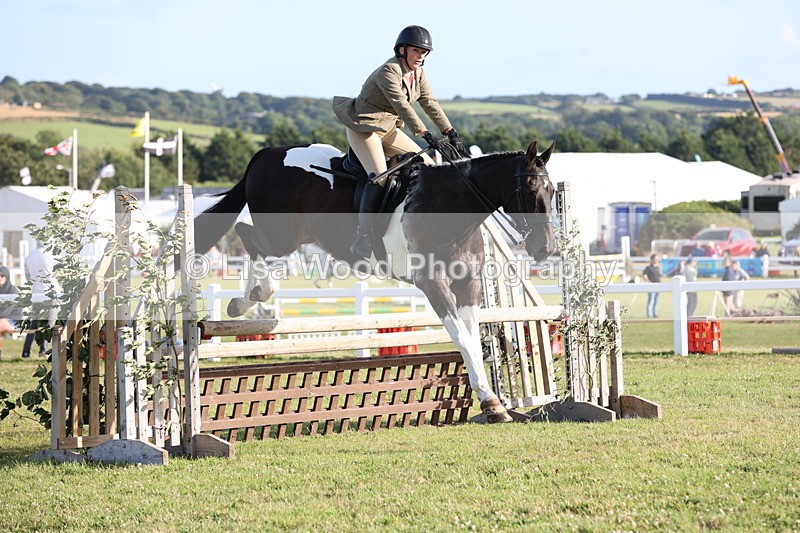 JPP_3446 - Class 22: Working Hunter 90cm