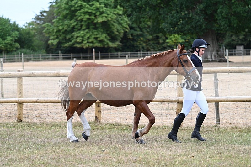 WJ7_8776 - Class 4a Prettiest Mare 14.2hh and over