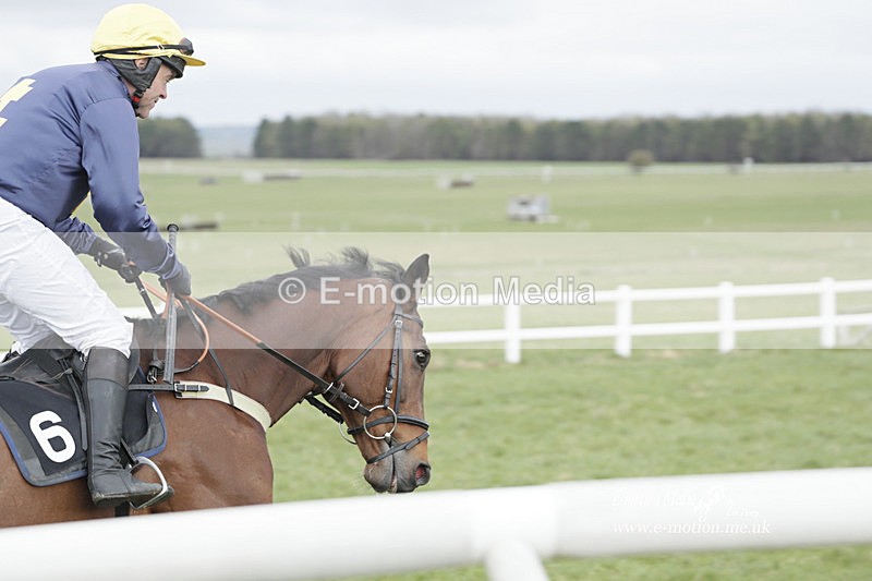PtP 260323 0443 - New Forest Hounds Point-to-Point Larkhill 26/03/23