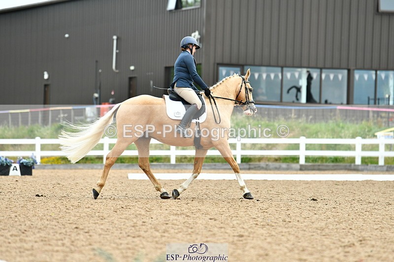 230630A-100608-00253 - Cls 2 Prelim 19