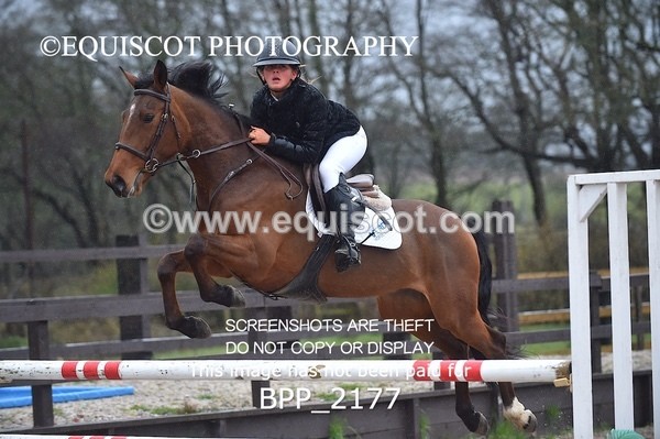 BPP_2177 - CLASS 20 Pony Newcomers/ 1m Open
