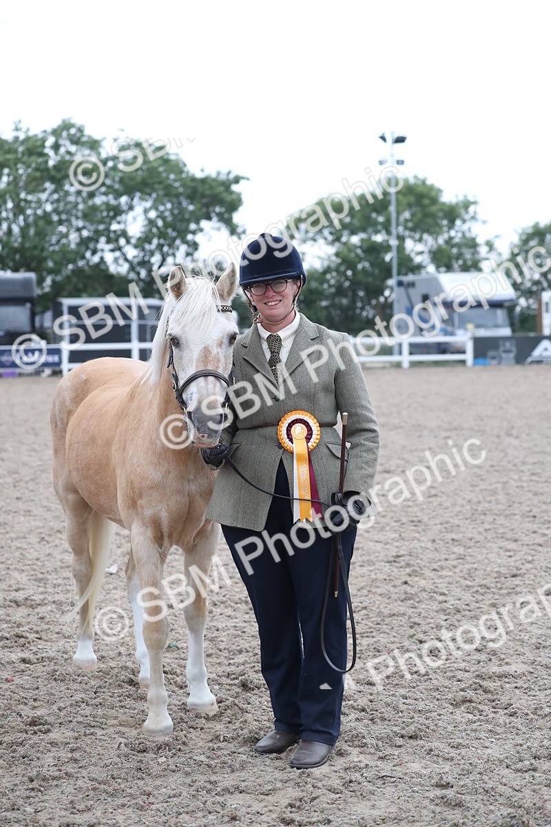 SBM_18009 - Class 317 IH Pure bred Horse/Pony