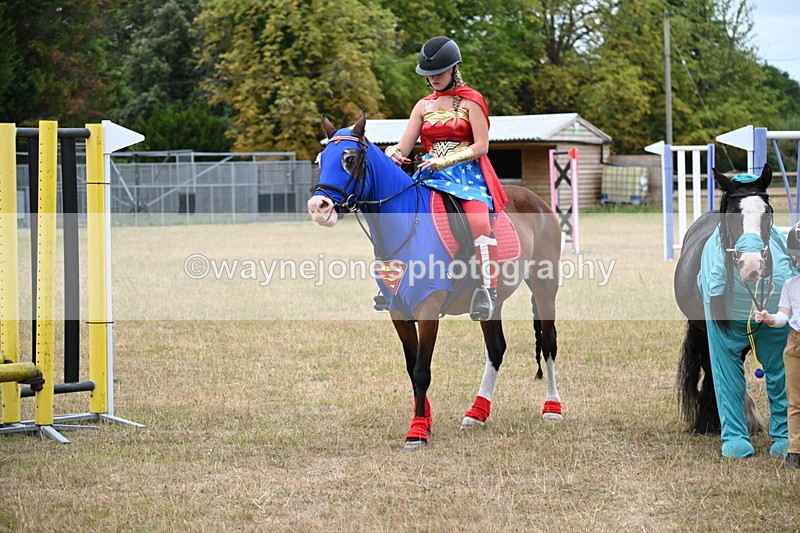 WJ6_9085 - Class 11 Fancy Dress