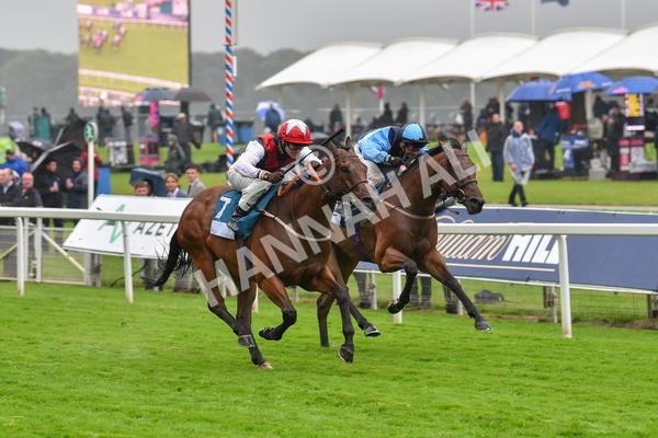 140723-Race 6-Copper Knight-8357 - Race 6 4.55pm Irish Thoroughbred Marketing Handicap
