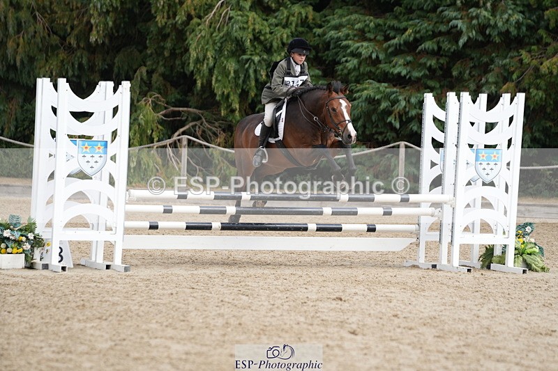 250824A-134118-37628 - 2147-George.Walford-meadow.sweet.conker