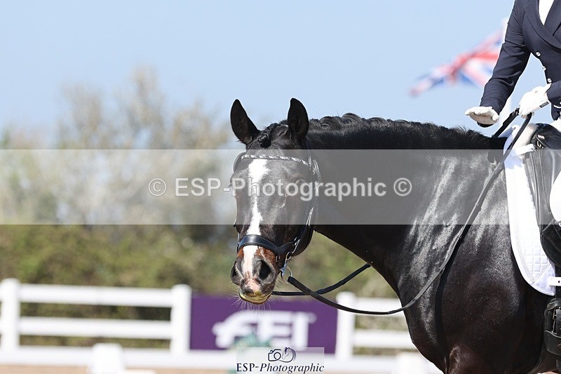250405-120224-10311 - 111-Ever.Sinfield.Day-Machno.Excalibur