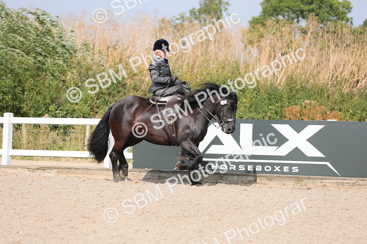 SBM_14531 - Class 211 Best Side Saddle Horse/Pony